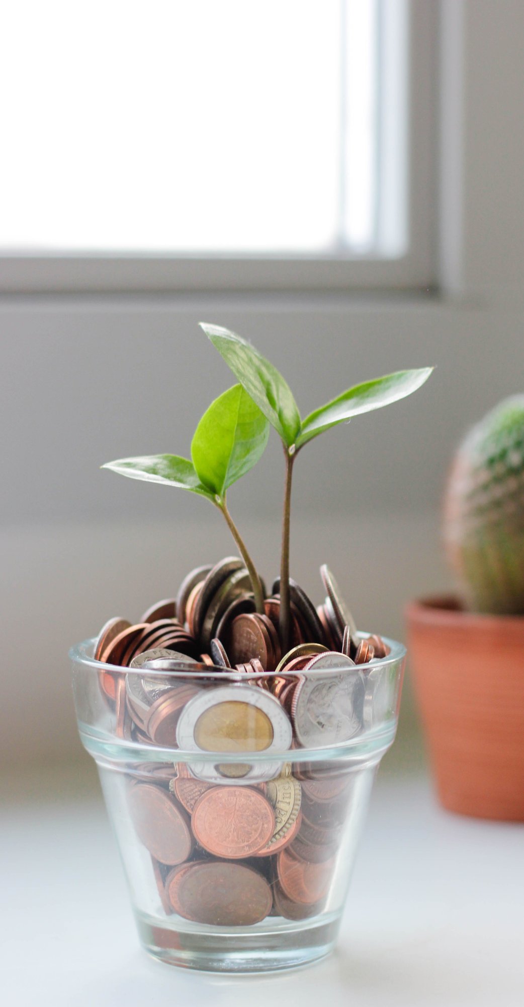 Growing mondy Growing mondy