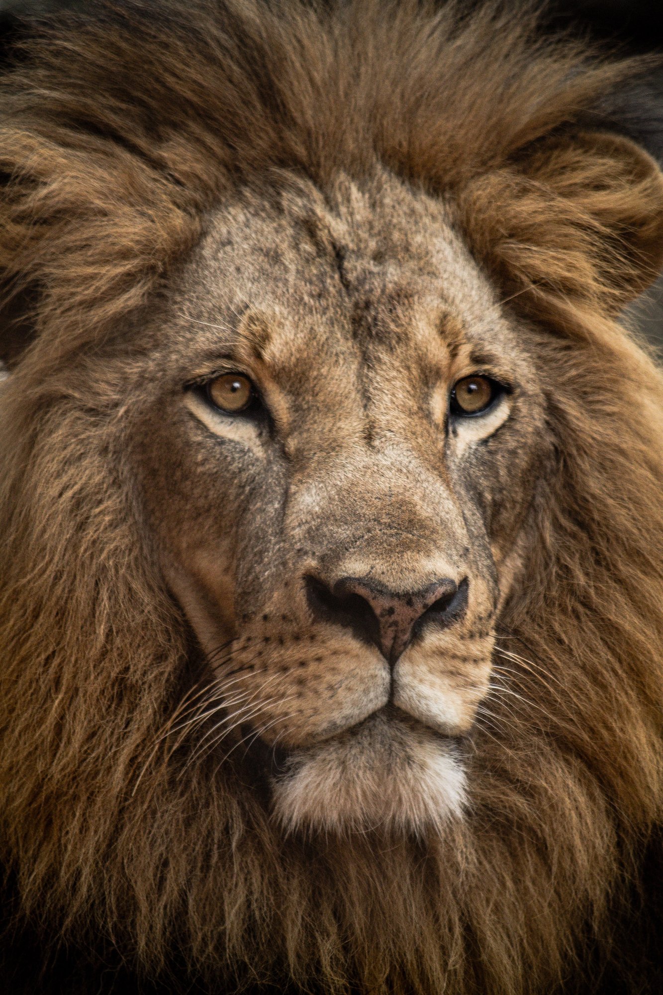 luke-tanis-IPRFX7CVVoU-unsplash luke-tanis-IPRFX7CVVoU-unsplash