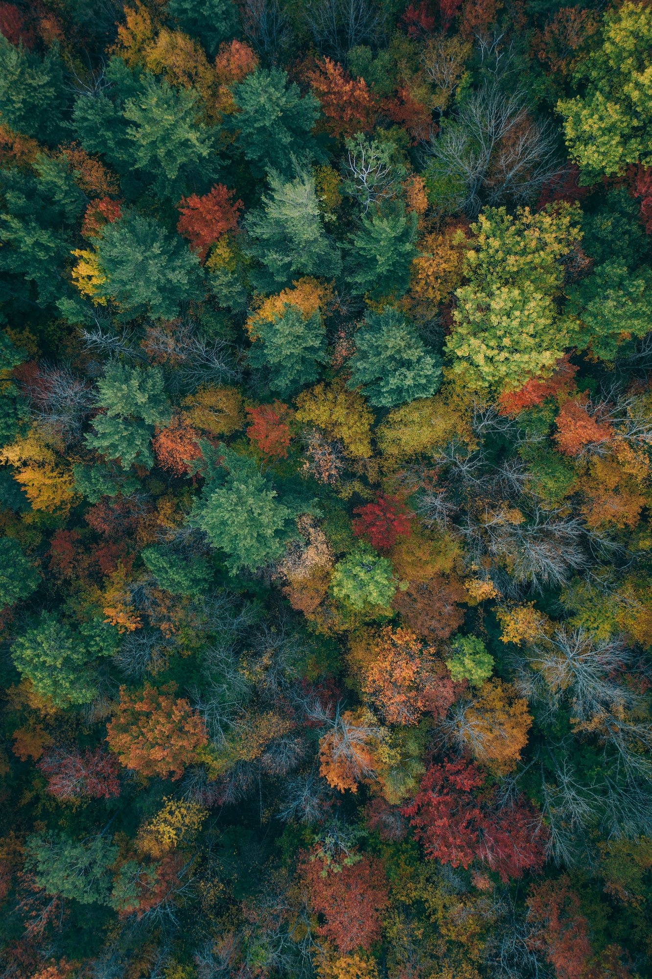 martin-sanchez-ML6kHR--Uys-unsplash