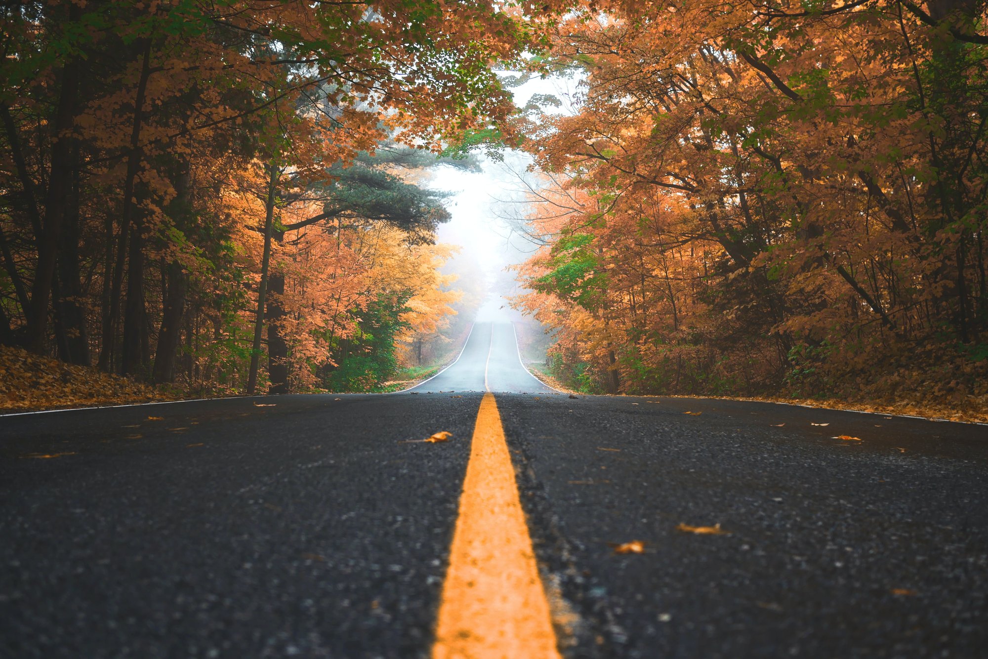 patrick-tomasso-5hvn-2WW6rY-unsplash patrick-tomasso-5hvn-2WW6rY-unsplash